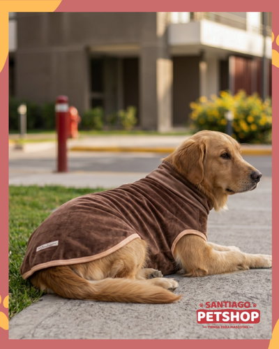 Sweater Clásico Chocolate