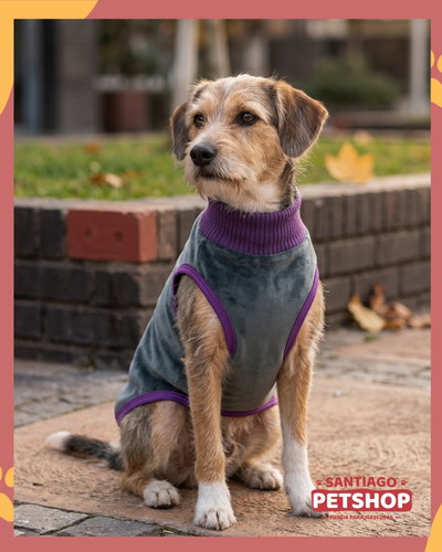 Sweater Clásico Gris