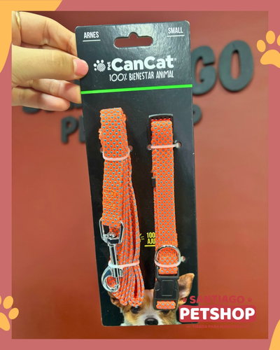 Set collar + correa chico