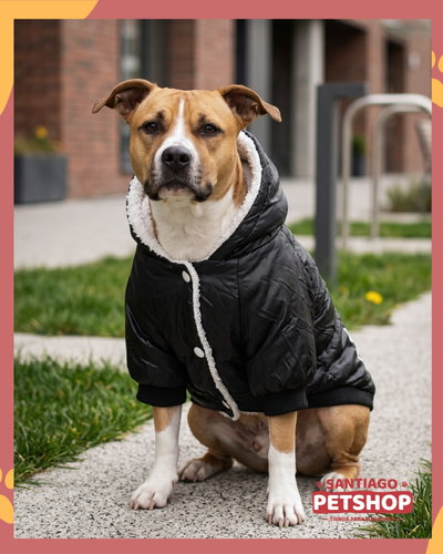 Puffer Adidog Negro 