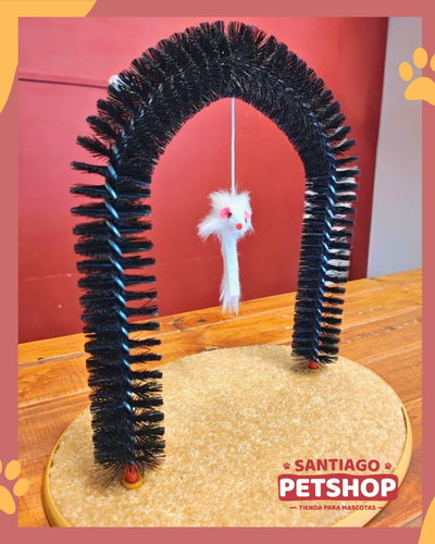 Arco Rascador
