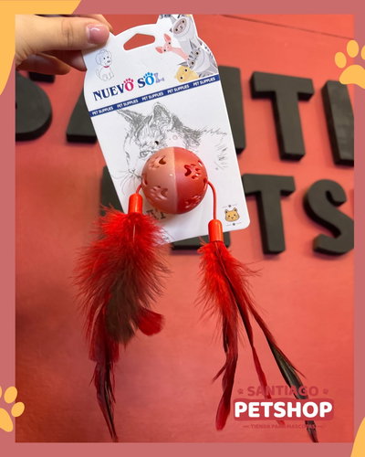 Pelota sonajera con Plumas