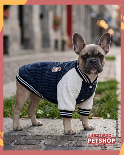 Campera Oxford Azul