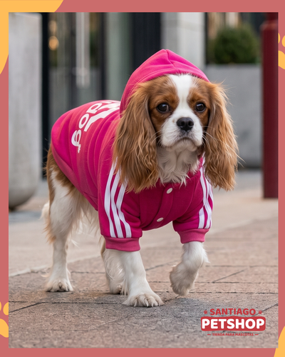 Campera Adidog Rosa