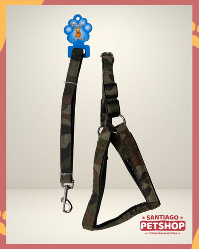 Conjunto Militar