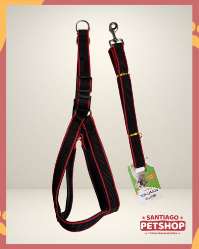 Conjunto Black