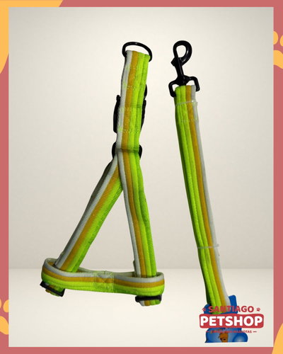 Conjunto Verde Fluor 