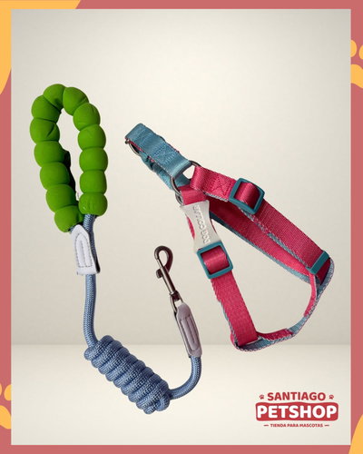 Conjunto Oasis