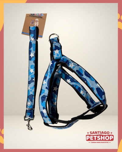 Conjunto Militar Azul