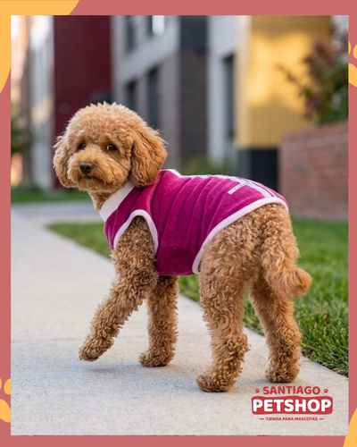 Sweater Clásico Fucsia
