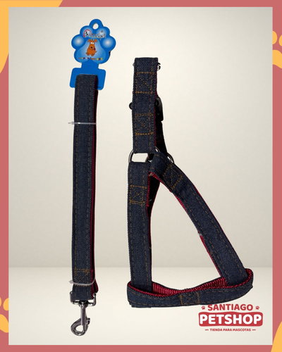 Conjunto Jean Rojo