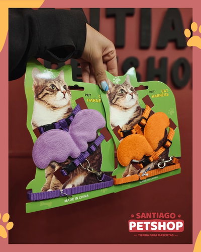 Conjunto para gatos con Alitas