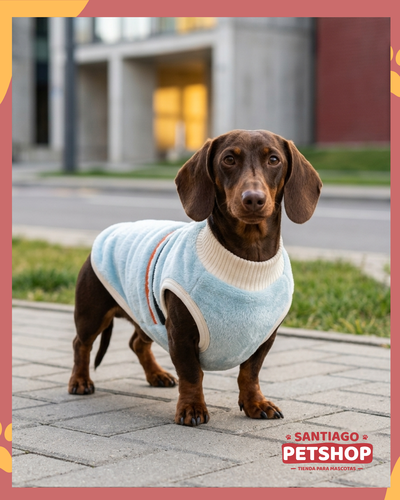 Sweater Clásico Celeste 