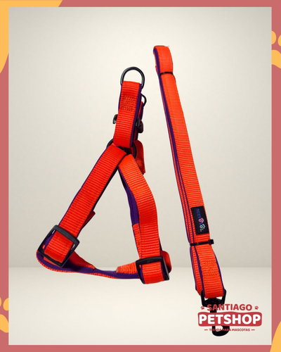 Conjunto Fluor