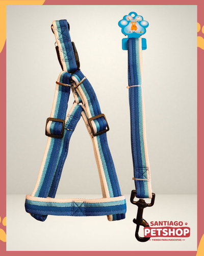 Conjunto Blue