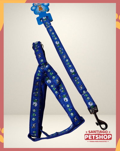 Conjunto Estampado