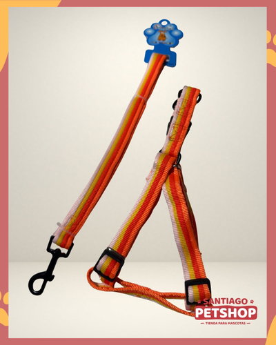 Conjunto Naranja Fluor