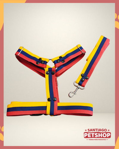 Conjunto Tricolor