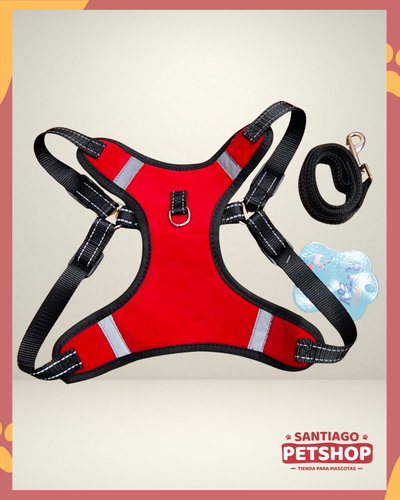 Conjunto Rojo Plush