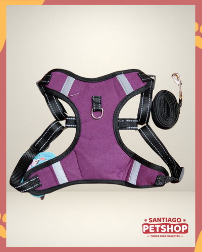 Conjunto Violeta Plush