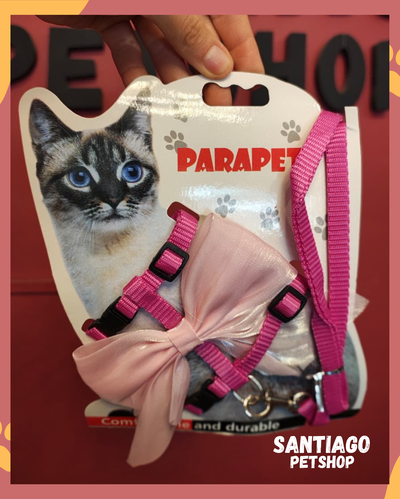 Conjunto para gatos con moño