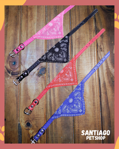 Collar con bandana