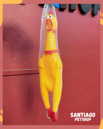 Gallina chifle grande