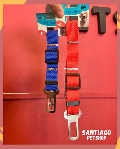 Cinturón de seguridad