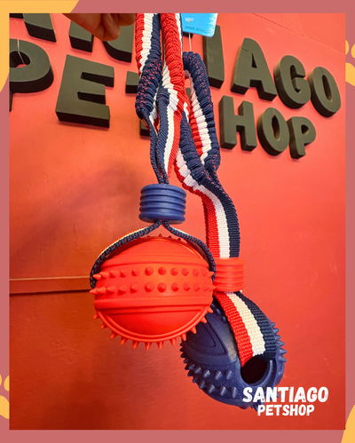 Mordillo con pelota de goma