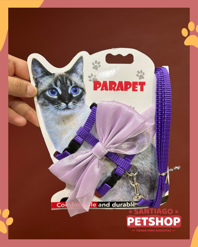 Conjunto para gatos con moño
