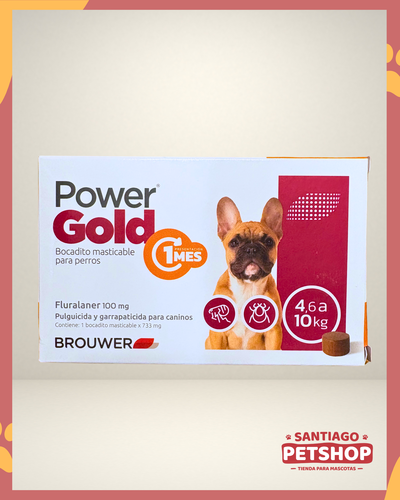 Power Gold 1 mes 4 a 10kg