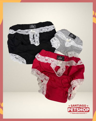Bombachas Sanitarias