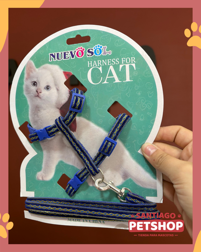 Conjunto para gatos diseño