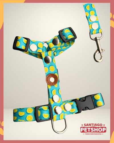 Conjunto Lemon Small