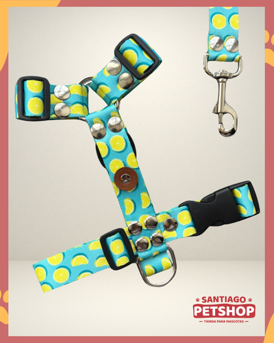 Conjunto Lemon Medium
