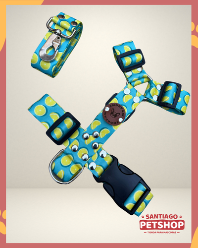 Conjunto Lemon Large