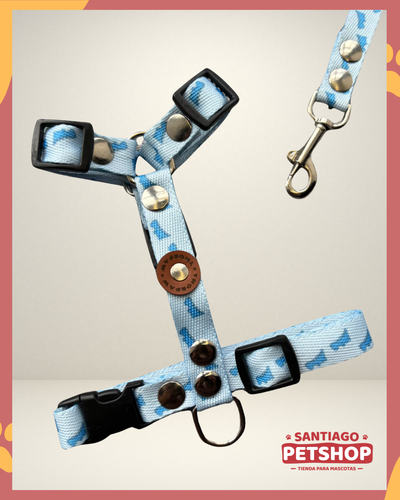Conjunto Dinos Small