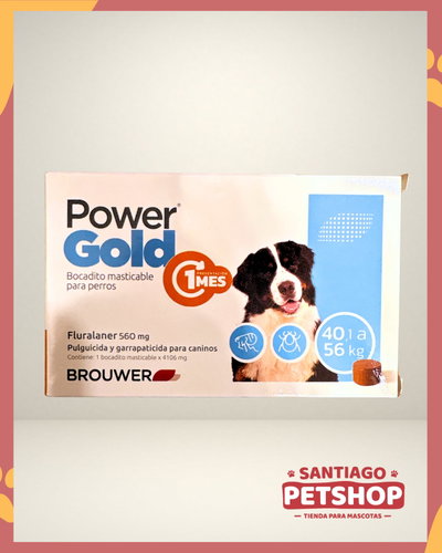 Power Gold 1 mes 40 a 56kg
