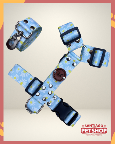 Conjunto Margaritas Large