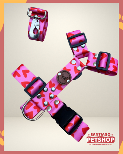 Conjunto Corazones Large