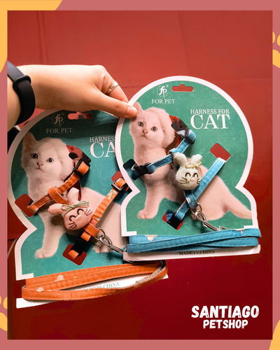 Conjunto para gatos conejito