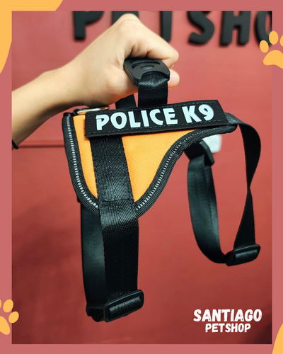 Pechera Police L