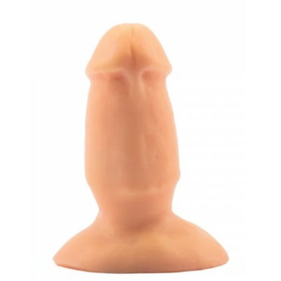 PLUG ANAL PERSONAL TRAINER