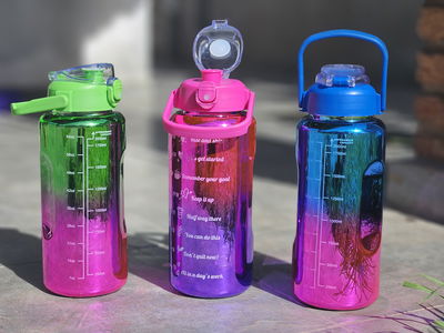 Botella Termica 2L
