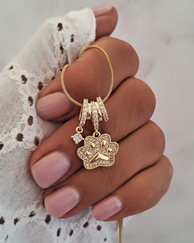 Collar Paw 40-5cm Ac. Dorado 