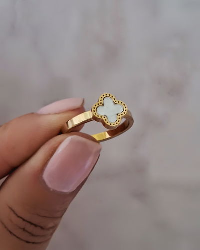 Anillo Cleef Blanco Ac. Dorado 
