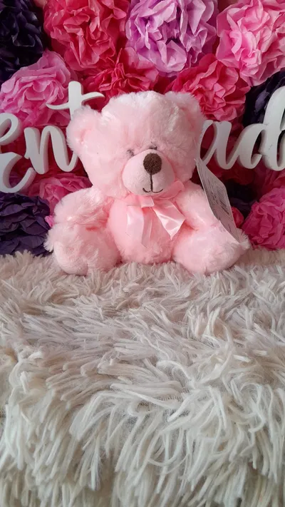 Peluche Osita