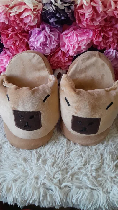 Pantuflas Capibara 35/6