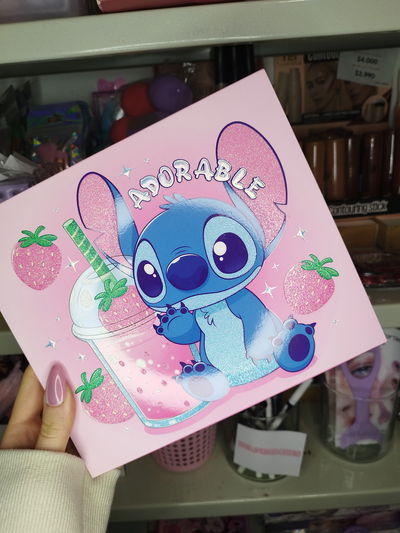 Paleta 42 sombras Stitch