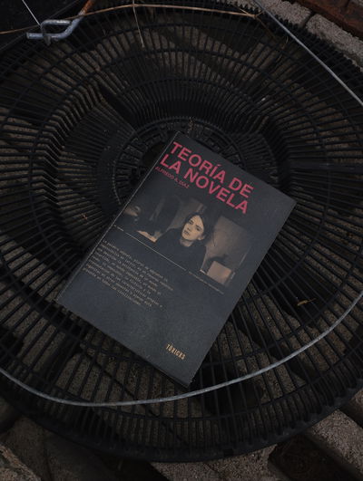 Teoría de la novela 